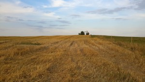 20150824_191213_Richtone(HDR)